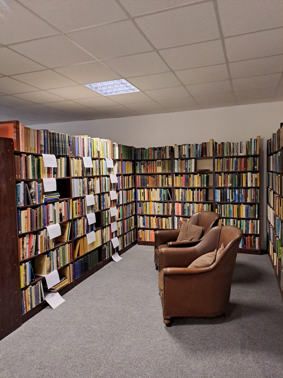 A pair of leather armchairs in the reading area, surrounded by shelves of books.